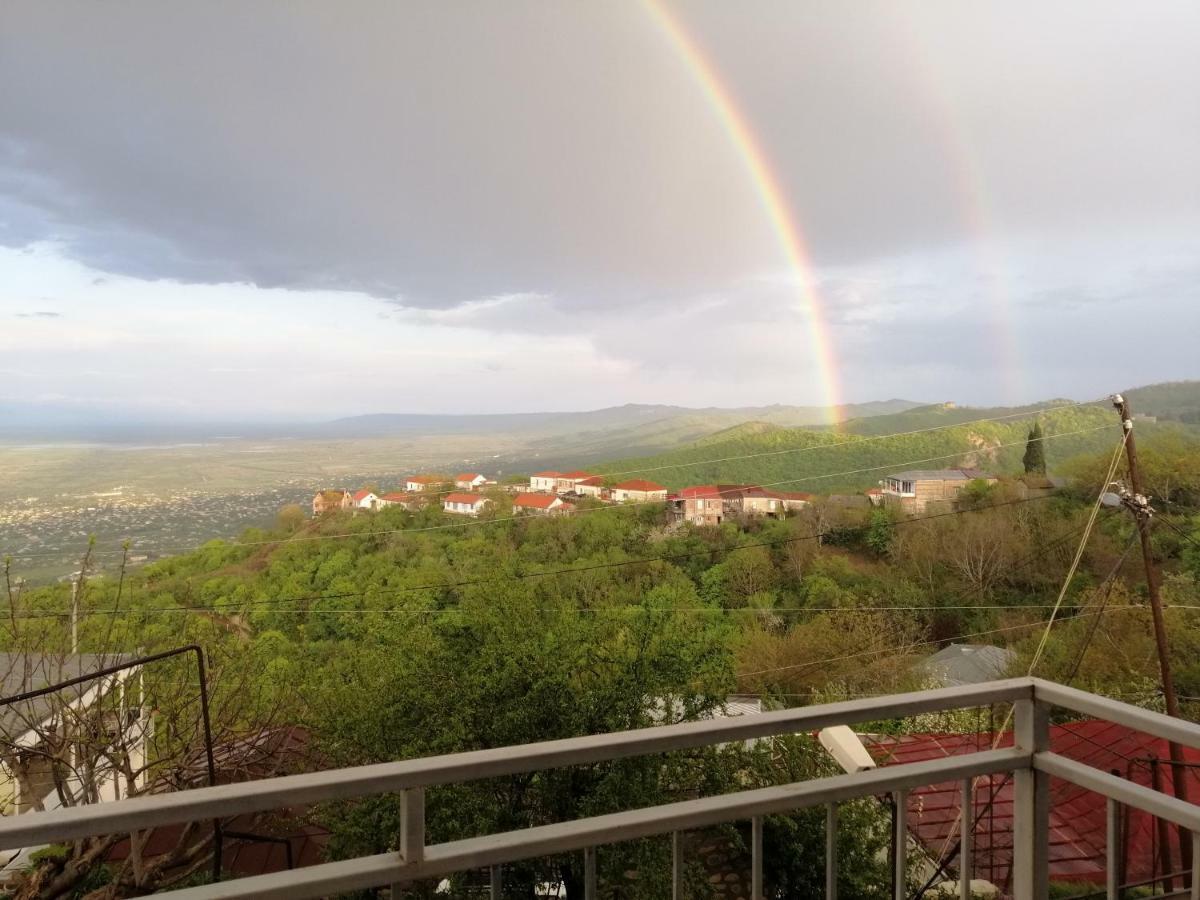 Guest House Alazani Valley シグナギ エクステリア 写真